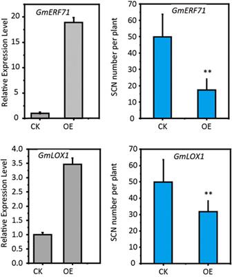 Comparisons of constitutive resistances to soybean cyst nematode between PI 88788- and Peking-type sources of resistance in soybean by transcriptomic and metabolomic profilings